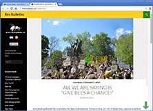 desktop screen shot of the bee bulletins blog page circa 2014